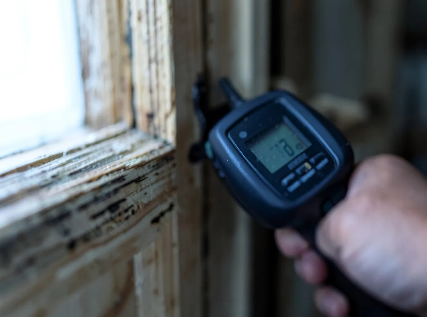 Moisture Inspection And Documentation in Derby, CT